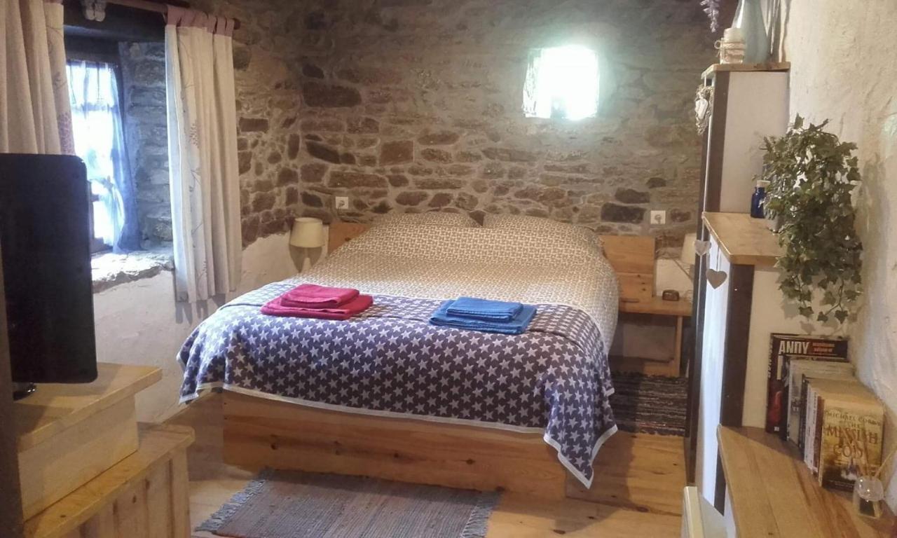 Gites De Camors Exterior photo